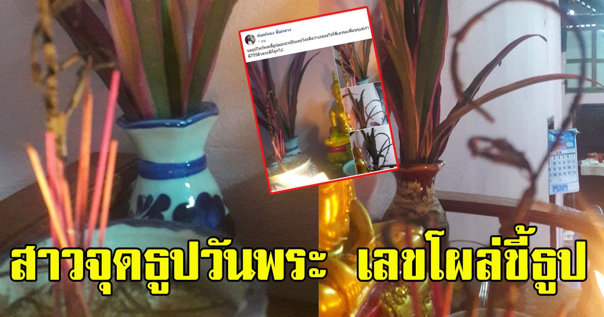 สาวจุดธูปวันพระ เลขโผล่ขี้ธูป ให้เห็นชัดแจ๋ว 8264811126058039098-blid-3069670962500750109