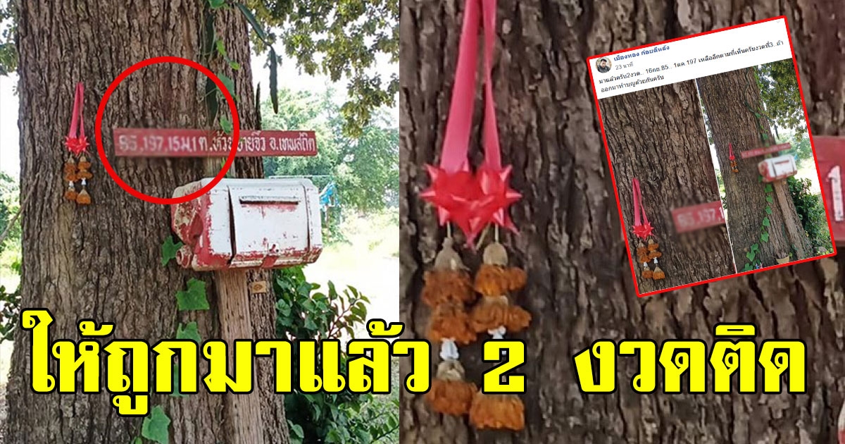 หนุ่มโพสต์ ป้ายคล้ายเลขที่บ้าน 488388807043998927-blid-2246759693026423228