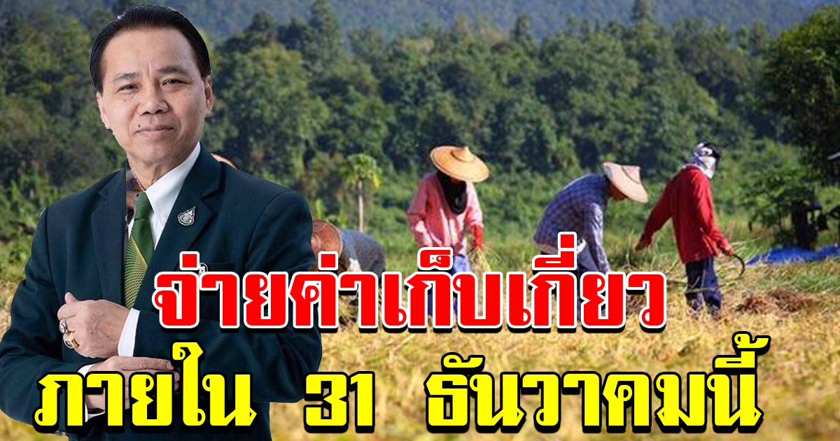ธกส เร่งจ่ายเงินช่วยเหลือค่าเก็บเกี่ยว ให้แก่เกษตรกรผู้ปลูกข้าว ภายใน 31 ธค 62