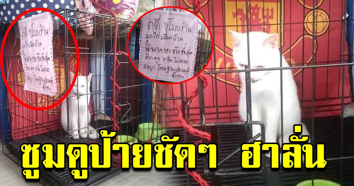 สาวโพสต์ จับน้องเหมียวขังกรง เป็นการลงโทษ