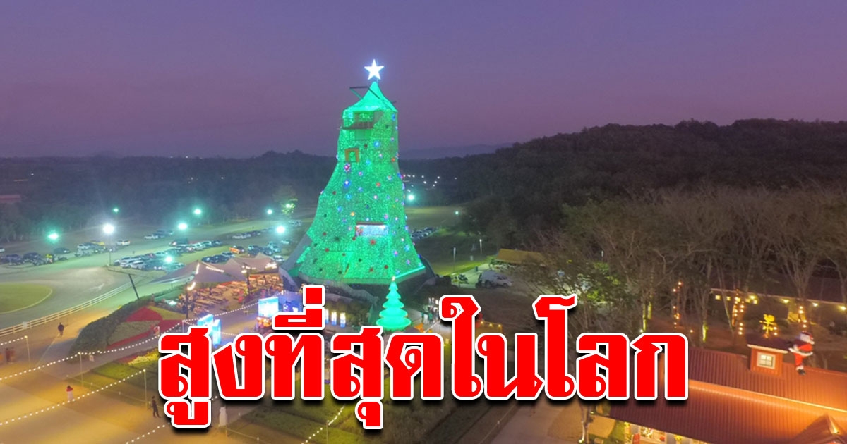 ต้นคริสต์มาสยักษ์ สร้างจากขวดน้ำพลาสติกกว่า 1 แสนใบ