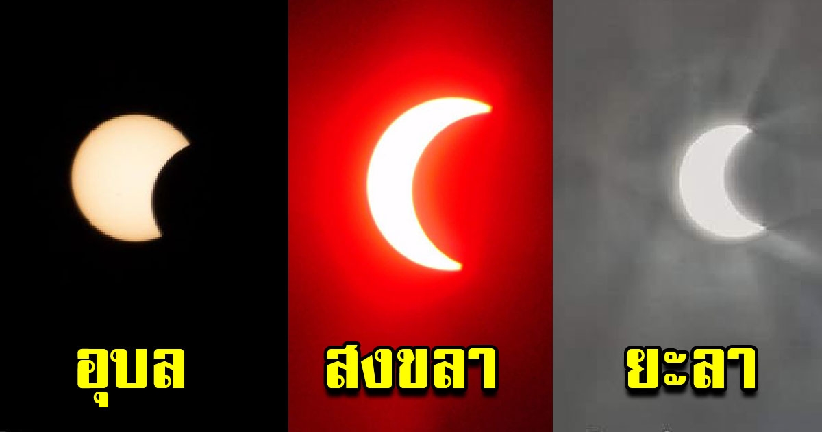 ภาพถ่าย สุริยุปราคาวงแหวนจากทั่วไทย ปรากฏการณ์ยิ่งใหญ่ส่งท้ายปี