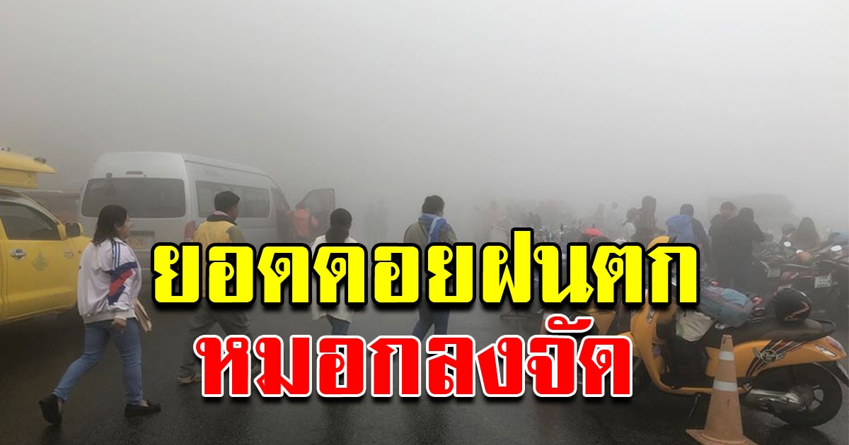 บนยอดดอยอินทนนท์ ฝนตกหมอกหนาแน่น มองเห็นได้ไม่เกิน 30เมตร