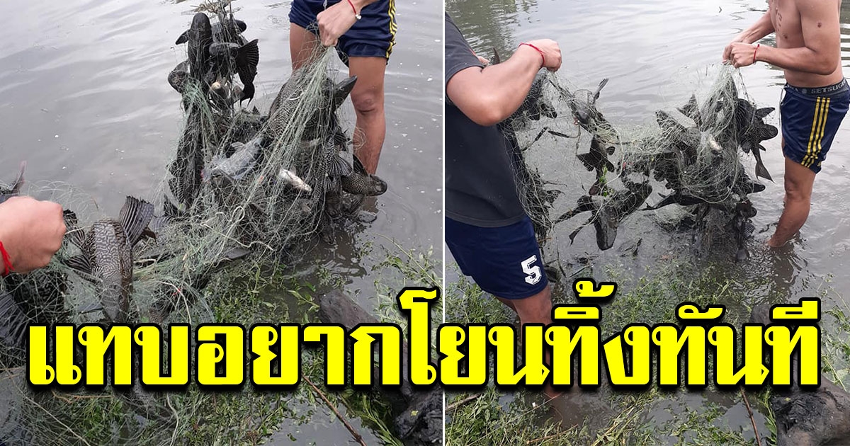 หนุ่มไปดักข่ายปลา ดึงขึ้นไม่ไหว เรียกเพื่อนมาช่วย
