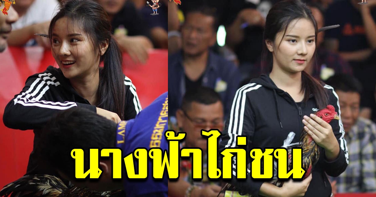 น้องมด สาวพะเยา ไอดอลบ้านนา นางฟ้าไก่ชน