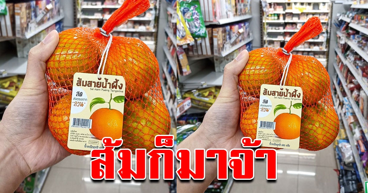 เซเว่น มีทุกอย่างจริงๆ ล่าสุดมีส้มขายแล้ว