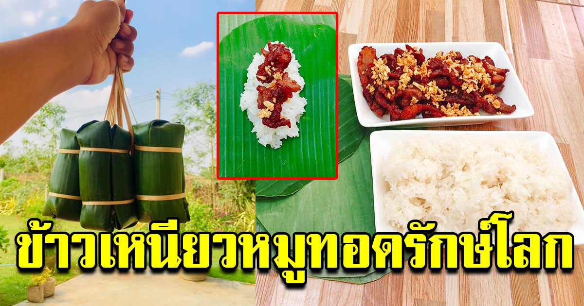 ข้าวเหนียวหมูทอดรักษ์โลก ห่อด้วยใบตองสวยๆ