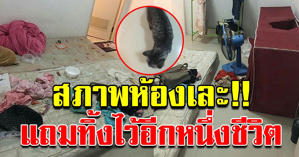 ผู้เช่าทำห้องรก ค้างค่าเช่าหนีหาย