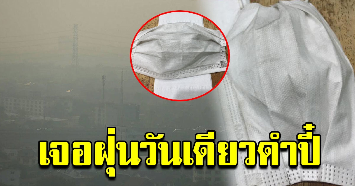 หนุ่มเมสเสนเจอร์ เผยภาพหน้ากาก หลังขับรถเผชิญฝุ่น PM 2 5 วันเดียว