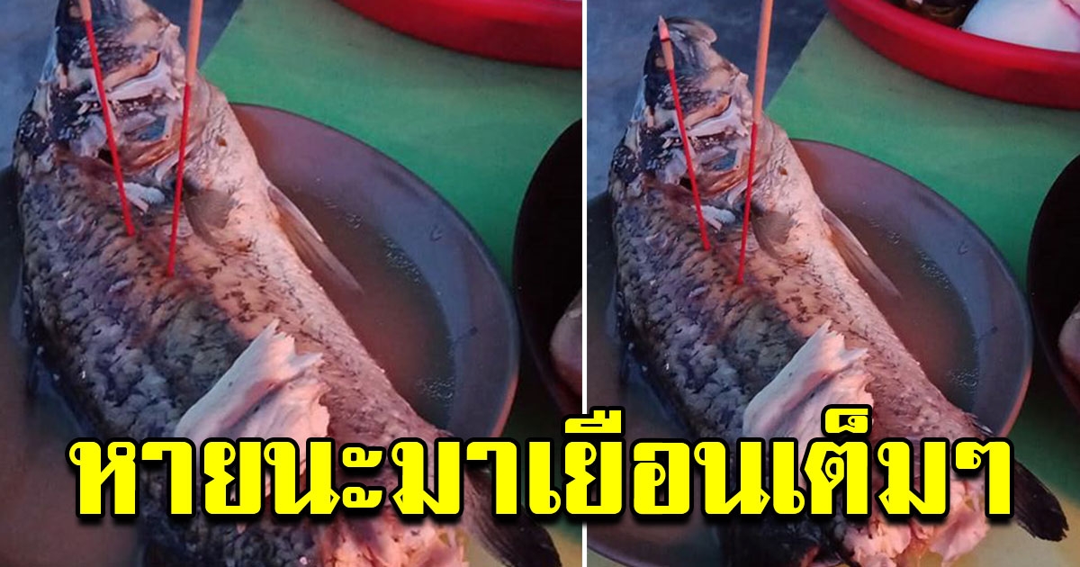 หนุ่ม เตรียมของไหว้เจ้า ก่อนหันมาเจอของที่เตรียมไว้