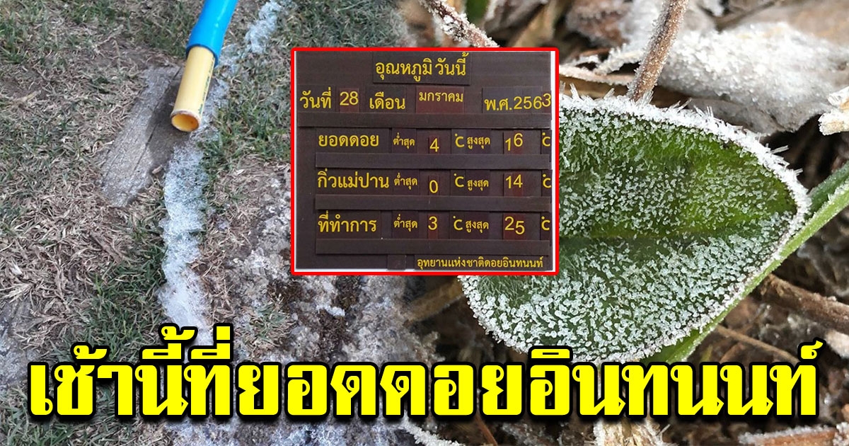 ยอดดอยอินทนนท์ หนาวจัดต่ำสุด 4 องศา หนาวจนน้ำในสายยางเป็นน้ำแข็ง