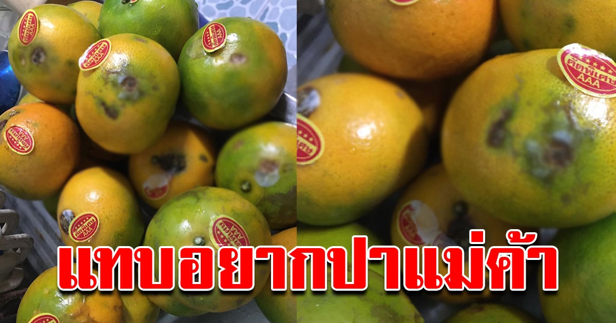 สาว ซื้อส้มเขียวหวานจากตลาด หลังกลับบ้านมาดู