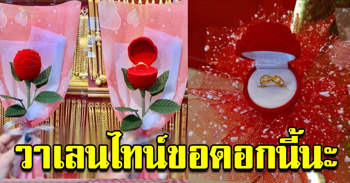 ดอกกุหลาบยุคใหม่ ต้อนรับวาเลนไทน์ ใครๆก็อยากได้