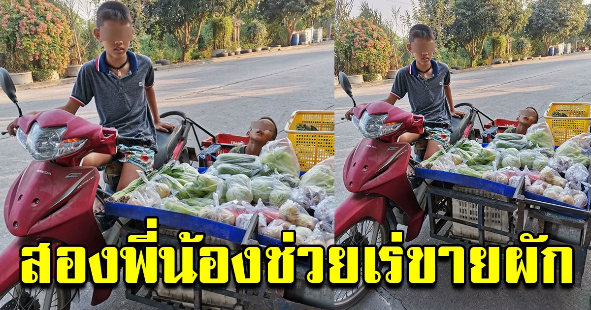 2 พี่น้องใช้เวลาหลังเลิกเรียน ขับรถมอไซค์พ่วงข้างขายผักช่วยพ่อแม่