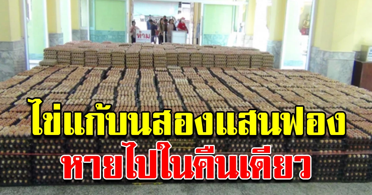 คนจีนแก้บนวัดหลวงพ่อโสธร ไข่ไก่ 2 แสนฟอง หายวับในคืนเดียว