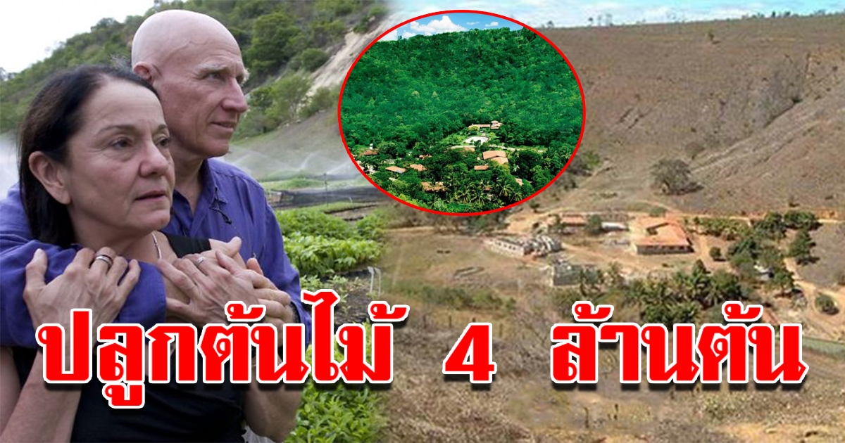 คู่รักผู้ยิ่งใหญ่ ใช้เวลา 20 ปีปลูกต้นไม้ 4 ล้านต้น