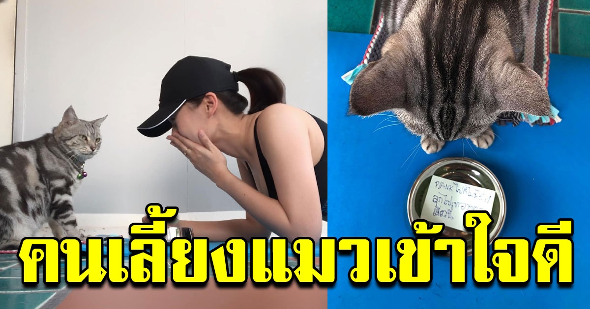 ฮาทั้งโซเชียล สาวแพลงก์มา 5 ปี ไม่มีใครมาขอสักที