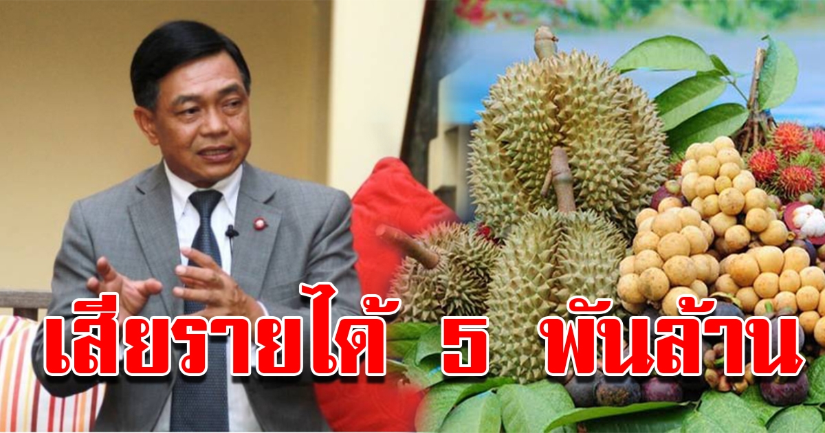 ผลไม้ปีนี้เสียหายหนัก สูญเงินกว่า 5 พันล้าน