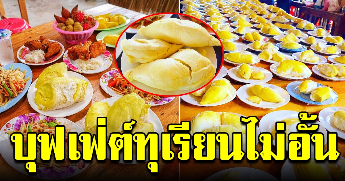 สวนทุเรียน จังหวัดระยอง จัดโปรแรง บุฟเฟ่ต์ทุเรียนกินได้ไม่อั้น