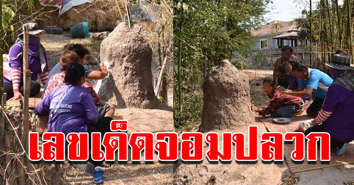 เลขจอมปลวก