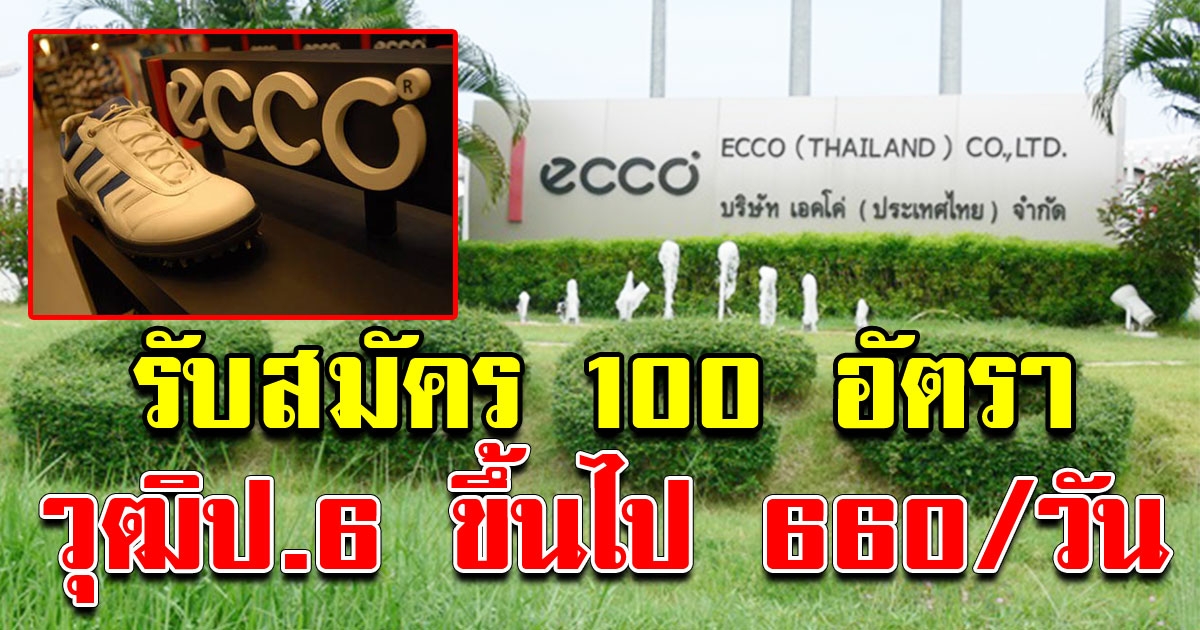 เอคโค่ รับสมัครพนักงาน 100 อัตรา วุฒิ ป 6 ขึ้นไป รายได้ 660 ต่อวัน