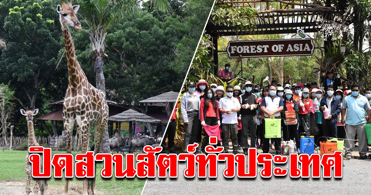 ปิดสวนสัตว์ ทั่วประเทศ 14 วัน ทำความสะอาดป้องกัน COVID