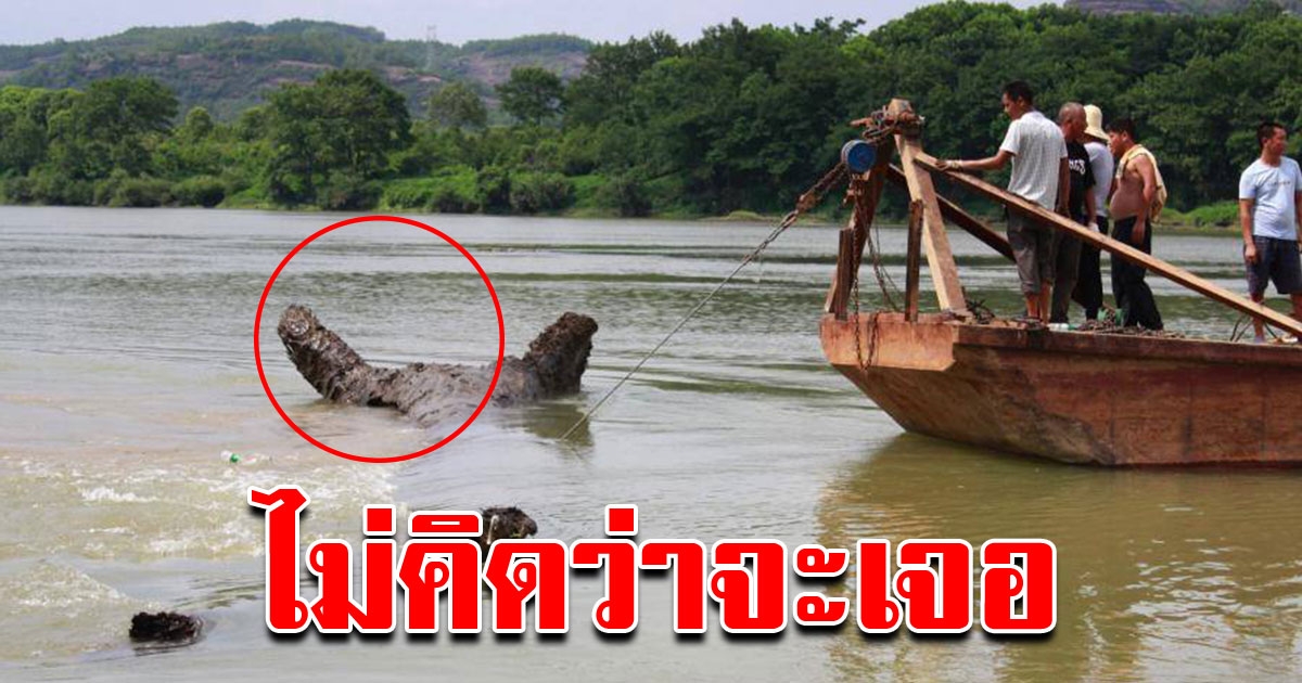 ชาวบ้าน พบขอนไม้อยู่กลางน้ำ