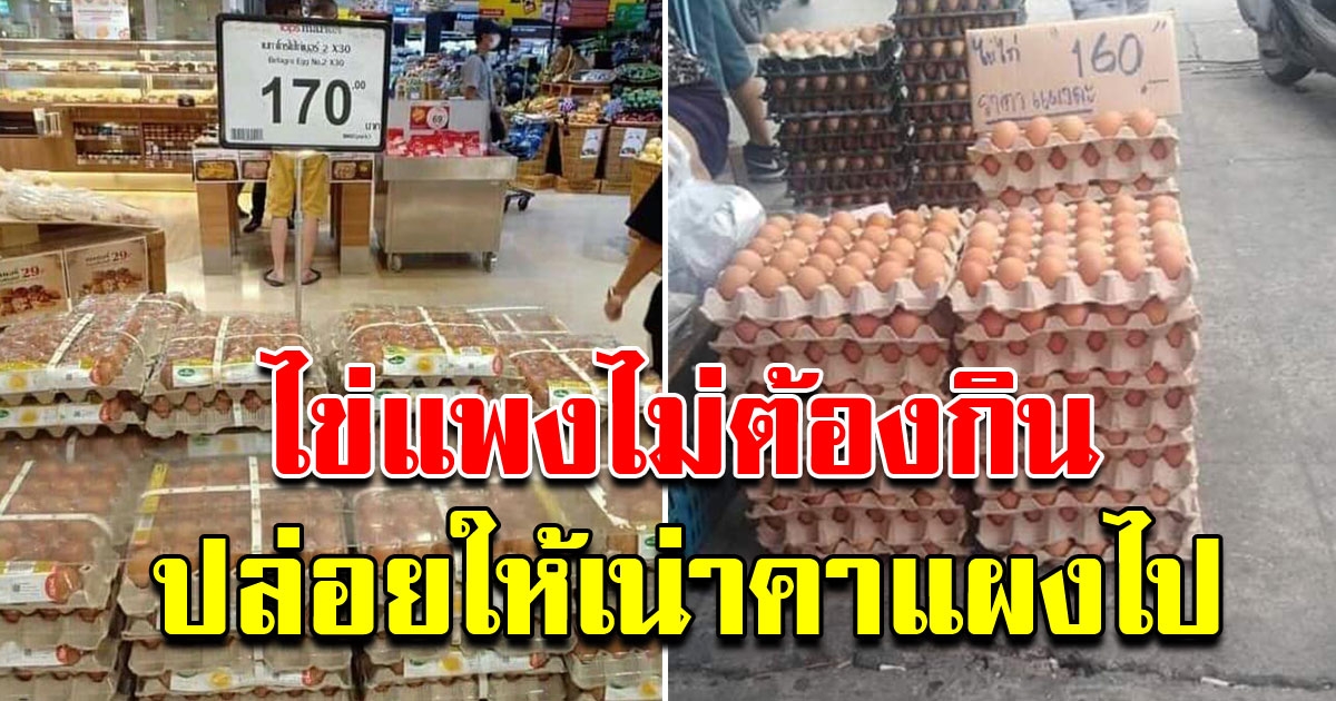 สาว ทนไม่ไหว ไข่ไก่ราคาพุ่งสูง ลั่นไม่ต้องกิน ของกินเมืองไทยมีเยอะแยะ