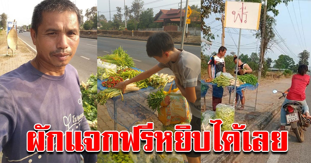 หนุ่มใจงาม ปลูกผักแจกชาวบ้าน ช่วยฝ่าวิกฤติในยามยาก