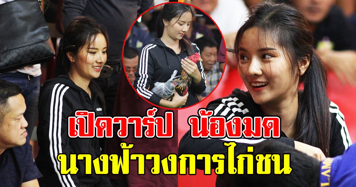 วาร์ป น้องมด นางฟ้าวงการไก่ชน ทำหลงรักกันทั้งสนาม