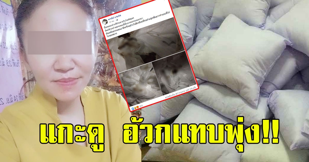 สาวโพสต์ไปซื้อหมอนมา ได้กลิ่นแปลกๆ เลยแกะดูด้านใน