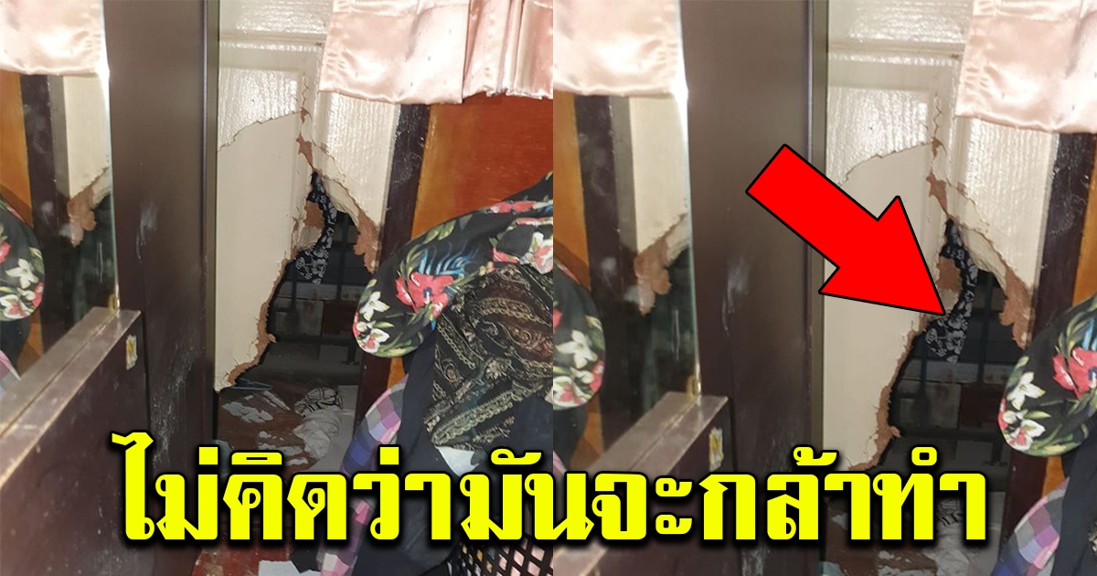 สาวขวัญกระเจิง ขับรถกลับบ้านเห็นเงาตะคุ่มๆ