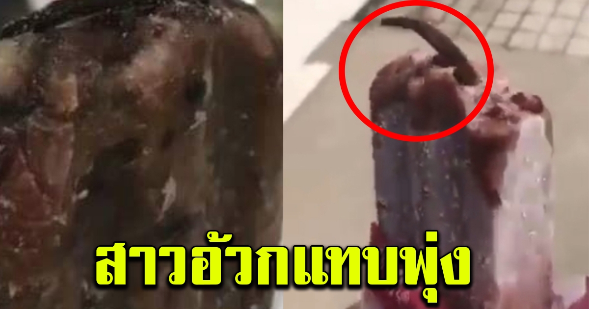 สาวทนไม่ไหว หลังเจอหางสัตว์คล้ายหนูโผล่ในไอติมที่ซื้อมากิน