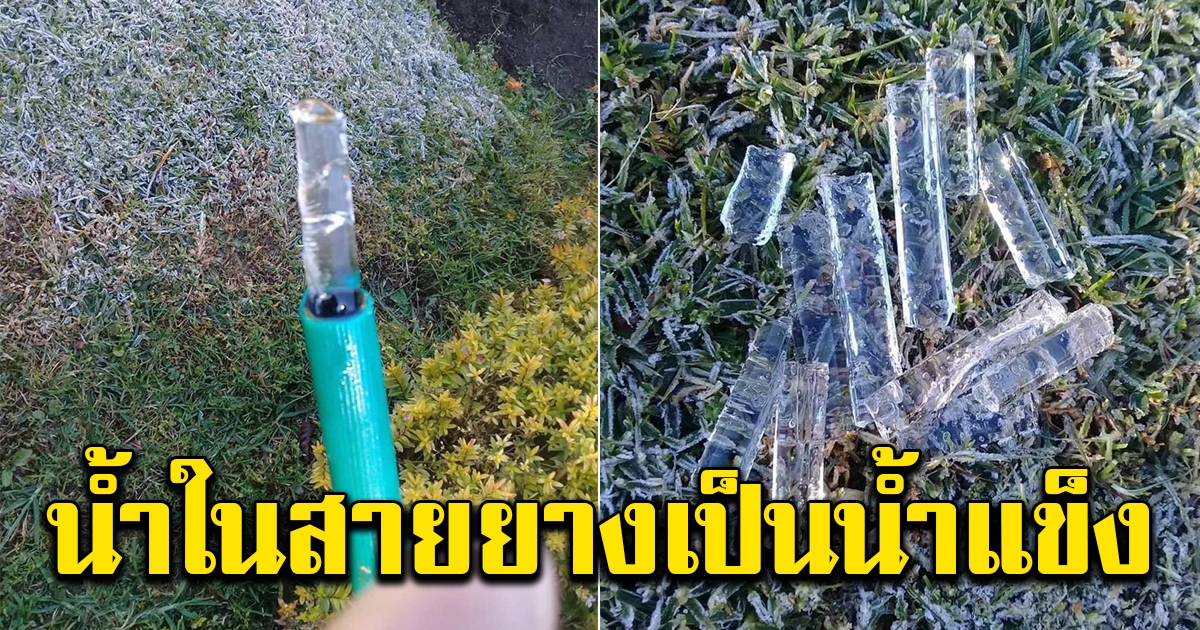 ฮือฮา อากาศบนดอยอินทนนท์หนาวจัดติดลบ 1 องศา จนน้ำในสายยางกลายเป็นน้ำแข็ง