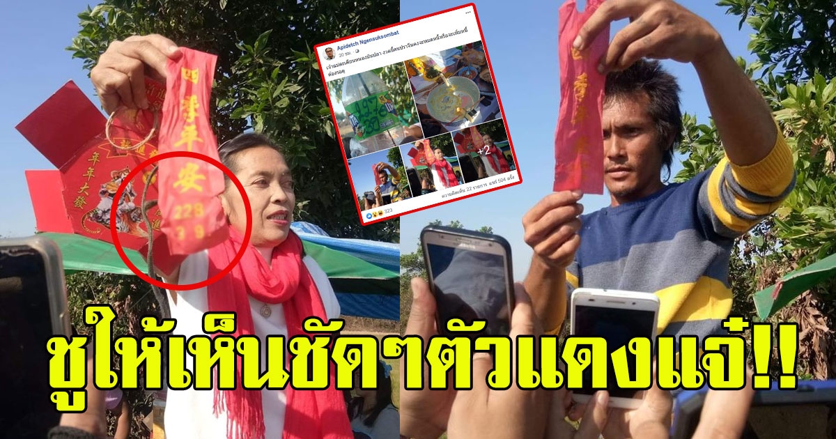 เลขเจ้าแม่ตะเคียนหนองมันปลา