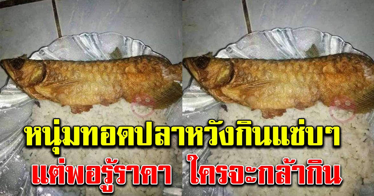 หนุ่มทำอาหาร ปลาทอดเสิร์ฟพร้อมข้าวสวย