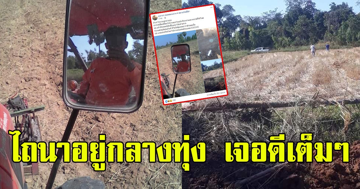 หนุ่มชาวไร่ร้องอิหยังวะ ไถนาอยู่กลางทุ่ง โดนตำรวจเรียก