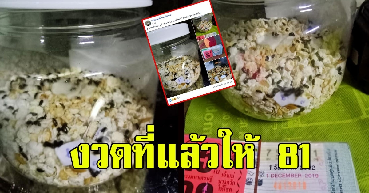 กระดิ่งทอง ให้เลขสวย 16 ธันวาคม 62