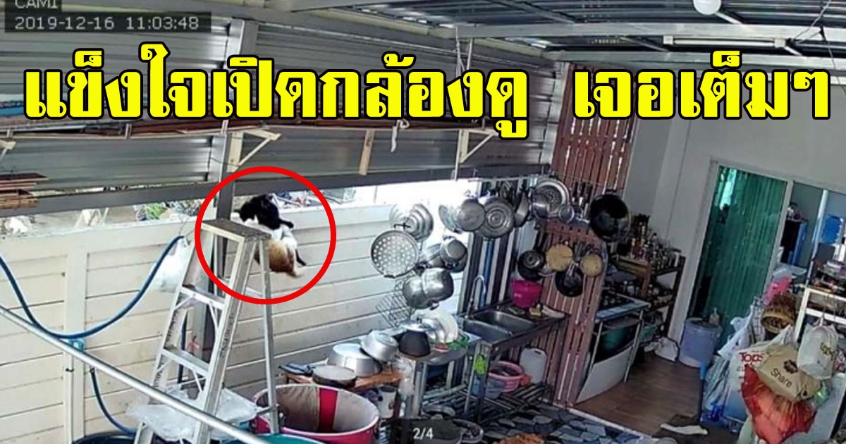 สาวอยู่ในบ้านคนเดียวได้ยินเสียงดังจากในครัว แข็งใจเปิดกล้องดู