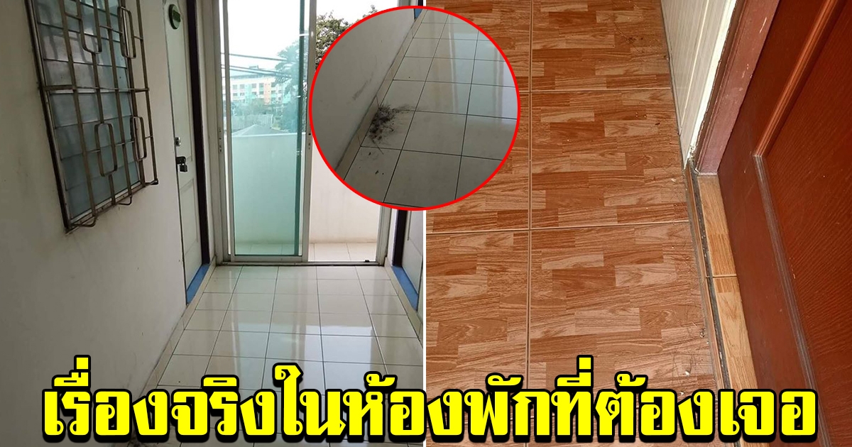 เรื่องจริงในหอพักที่ต้องเจอ พฤติกรรมเพื่อนห้องตรงข้าม