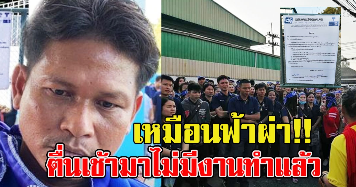 พนักงานเปิดใจ หลังถูกเลิกจ้าง