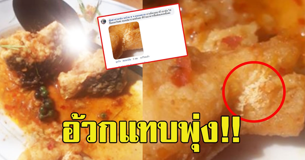 สาวไปเที่ยวเขาค้อ กินร้านอาหารดัง