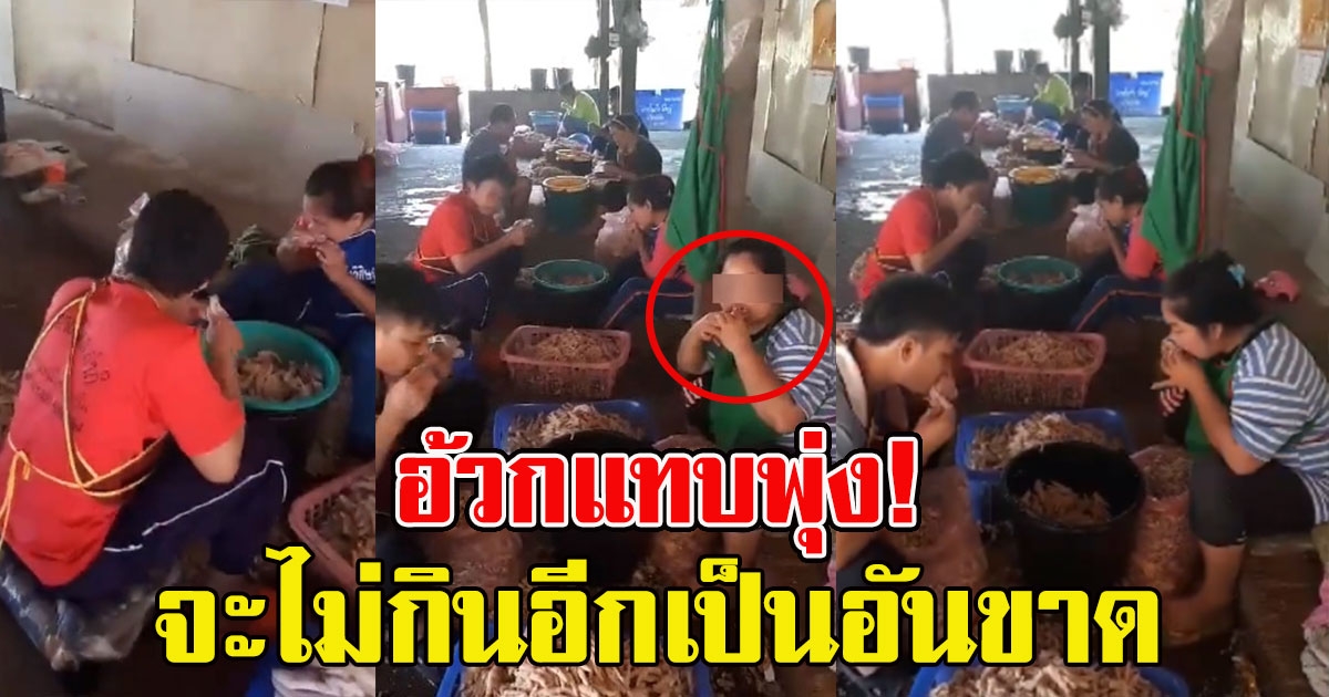 ขั้นตอนการคัดไก่ ก่อนนำมาขายตามท้องตลาด