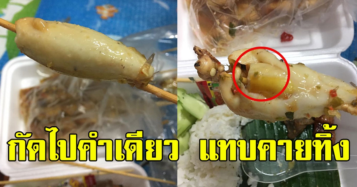 สาวซื้อหมึกไข่ ไม้ละ 10 บาท มากิน