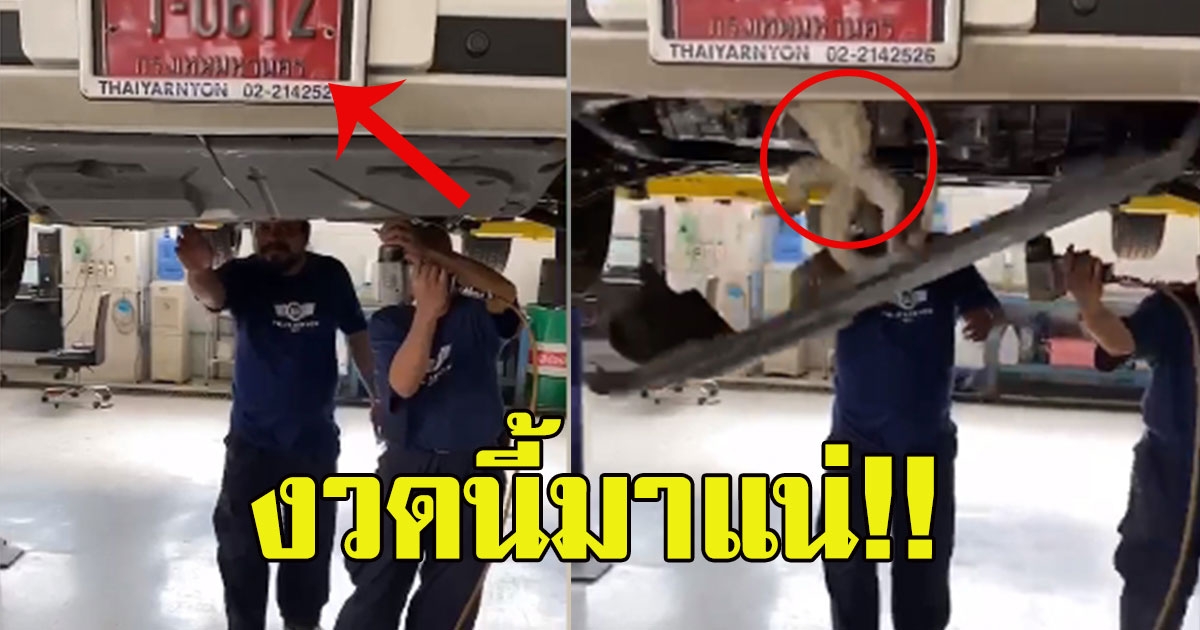 ช่าง ตรวจรถป้ายแดง