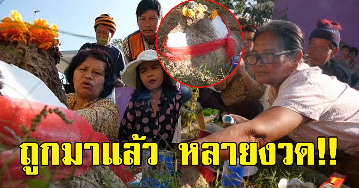 ชาวบ้าน ขอเลขจอมปลวกปู่ตา ศักดิ์สิทธิ์