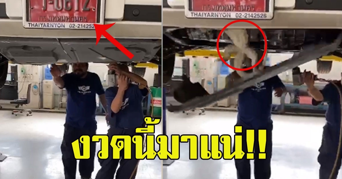 ช่าง ตรวจซ่อมรถป้ายแดง