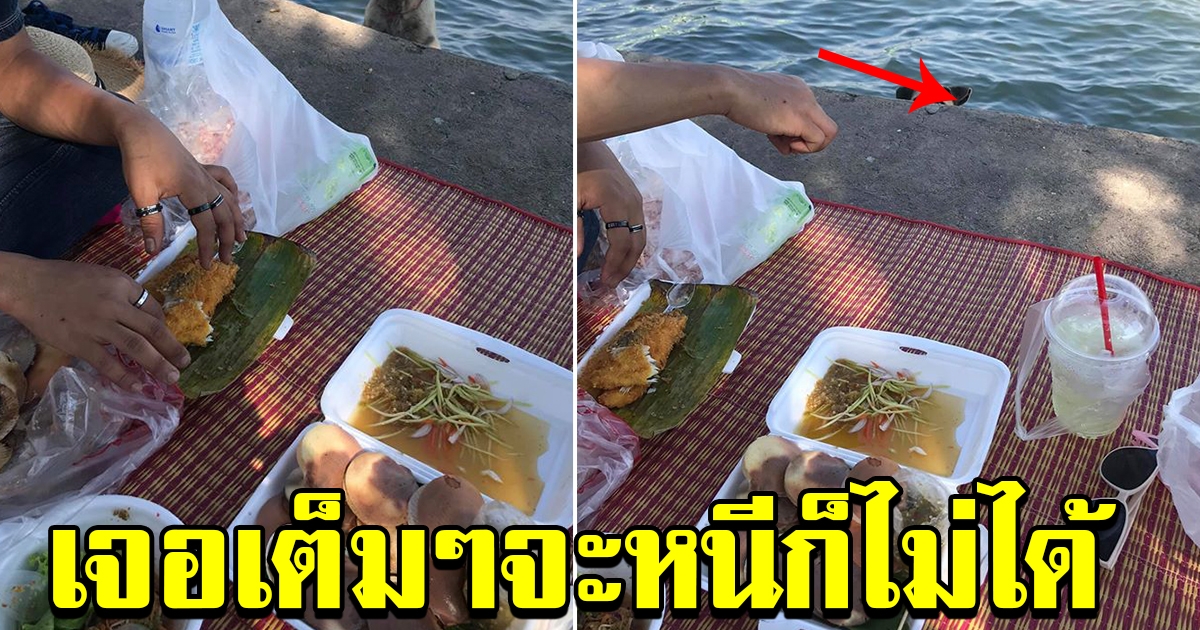 สาวโพสต์ นั่งปิคนิคอยู่ริมทะเล