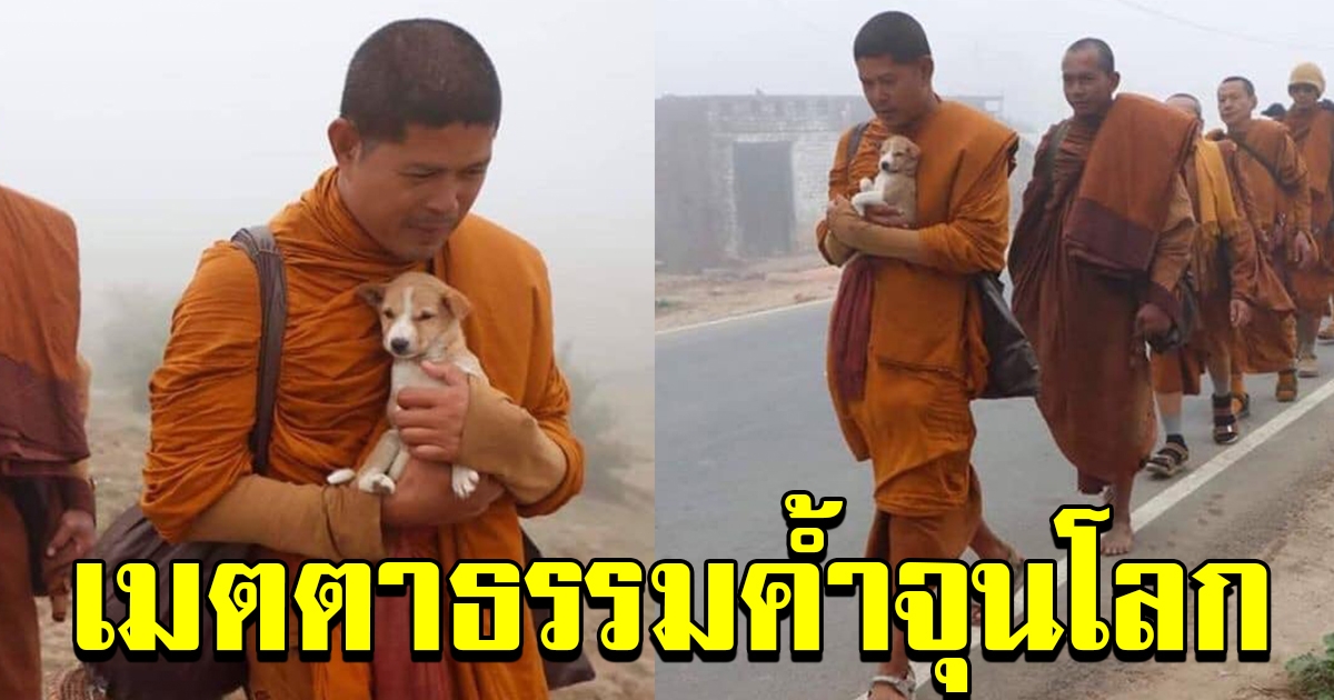 คณะพระสงฆ์ เดินทางออกธุดง