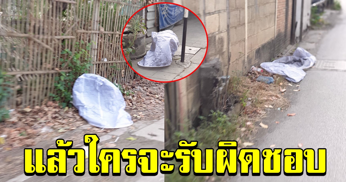 สาวโพสต์ ภาพชุดแรกของปี